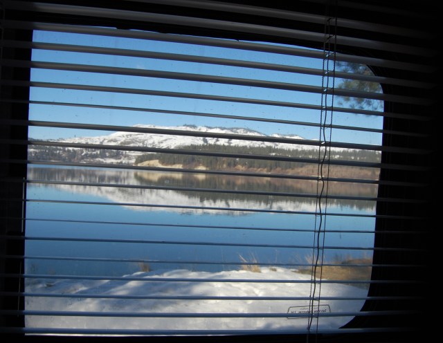 The view out of the kitchen window ...