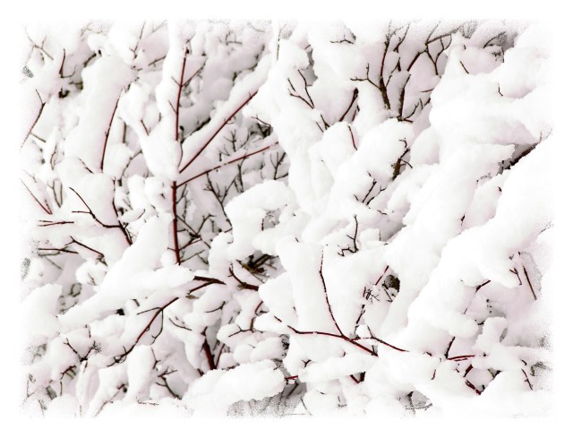 winter50001