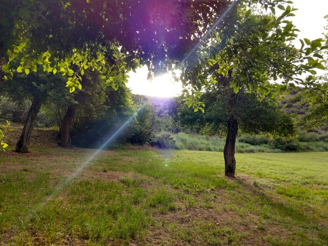 18June051